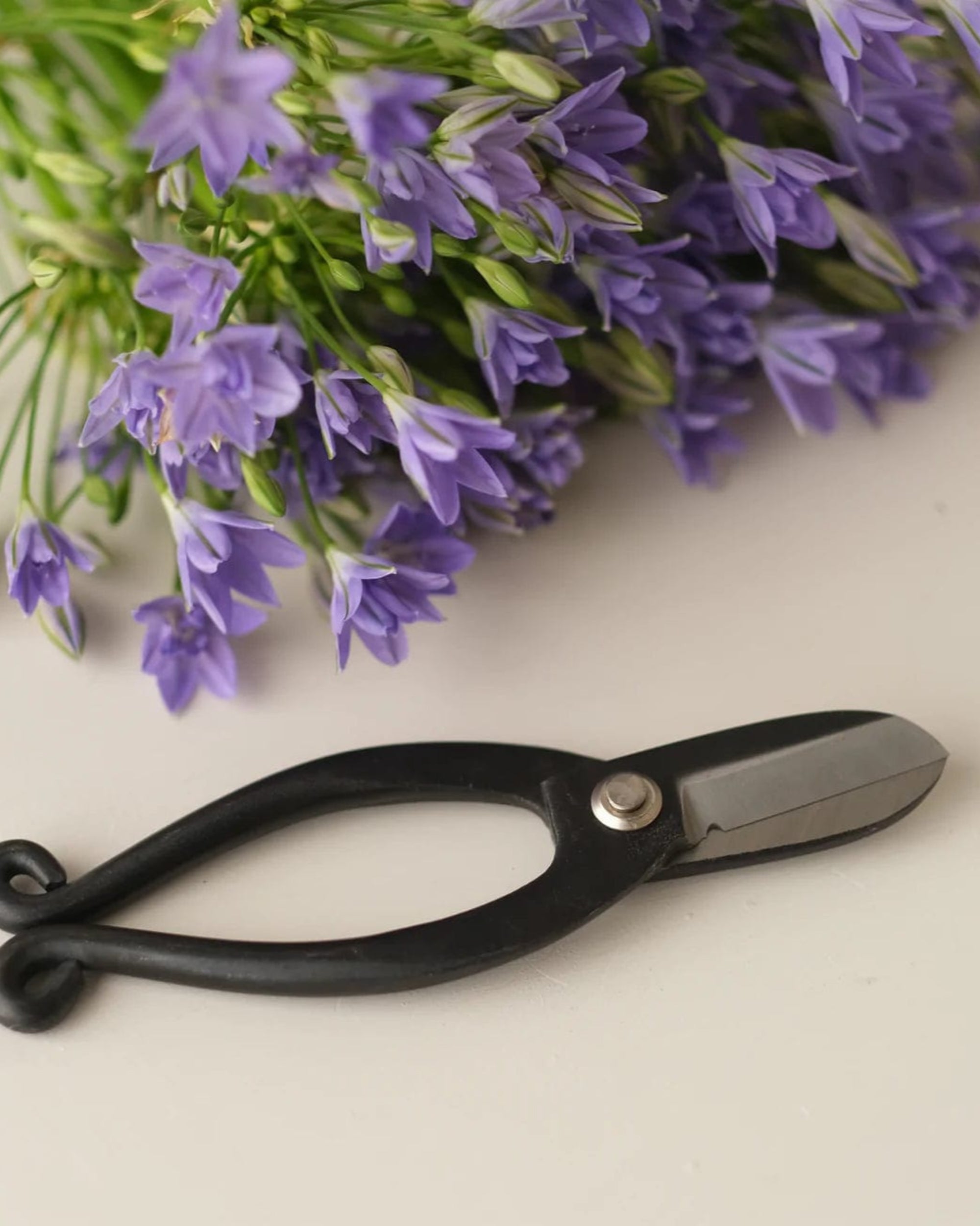 Camilia Supply Ikebana Scissors - Narrow La Bomba Floristry Vancouver Canada