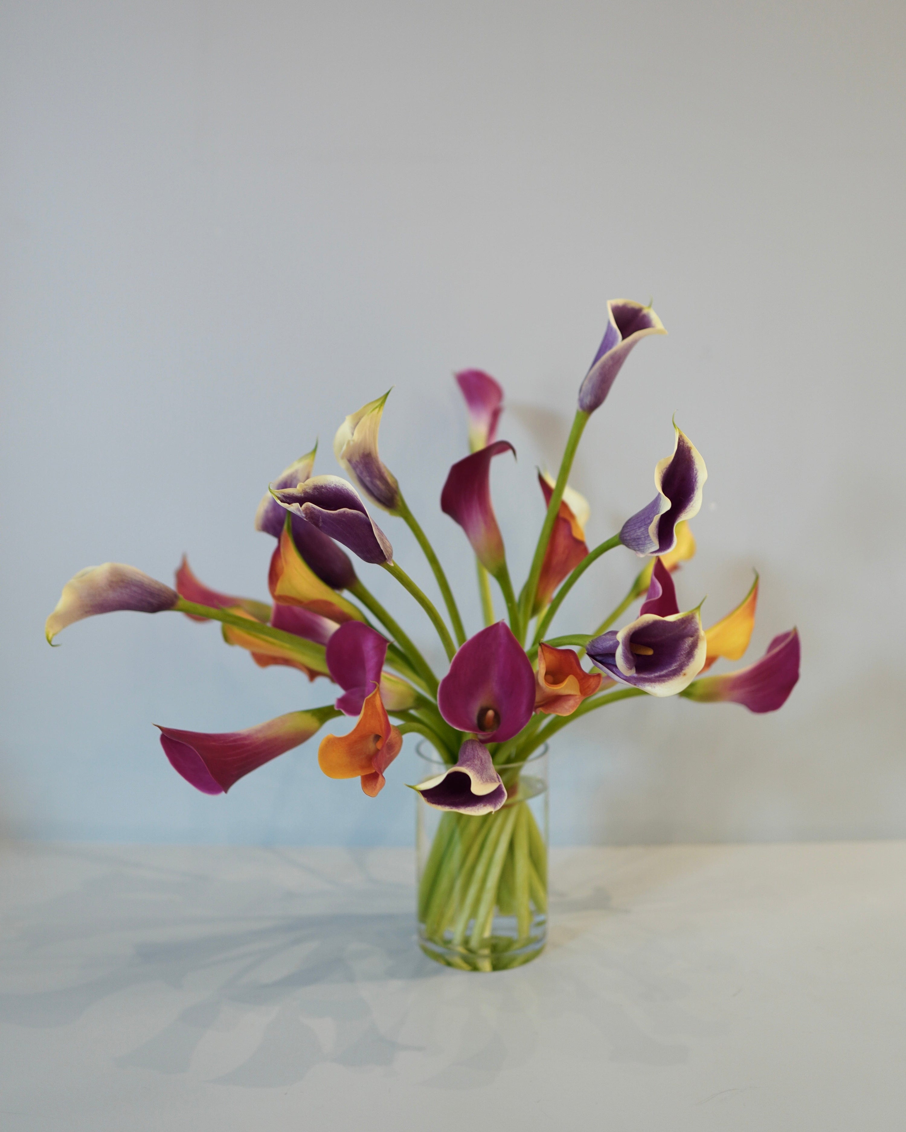 La Bomba Floristry Arrangements 9 Stems / Vase SINGLE SPECIES — Cala Lily La Bomba Floristry Vancouver Canada SINGLE SPECIES — Cala Lily