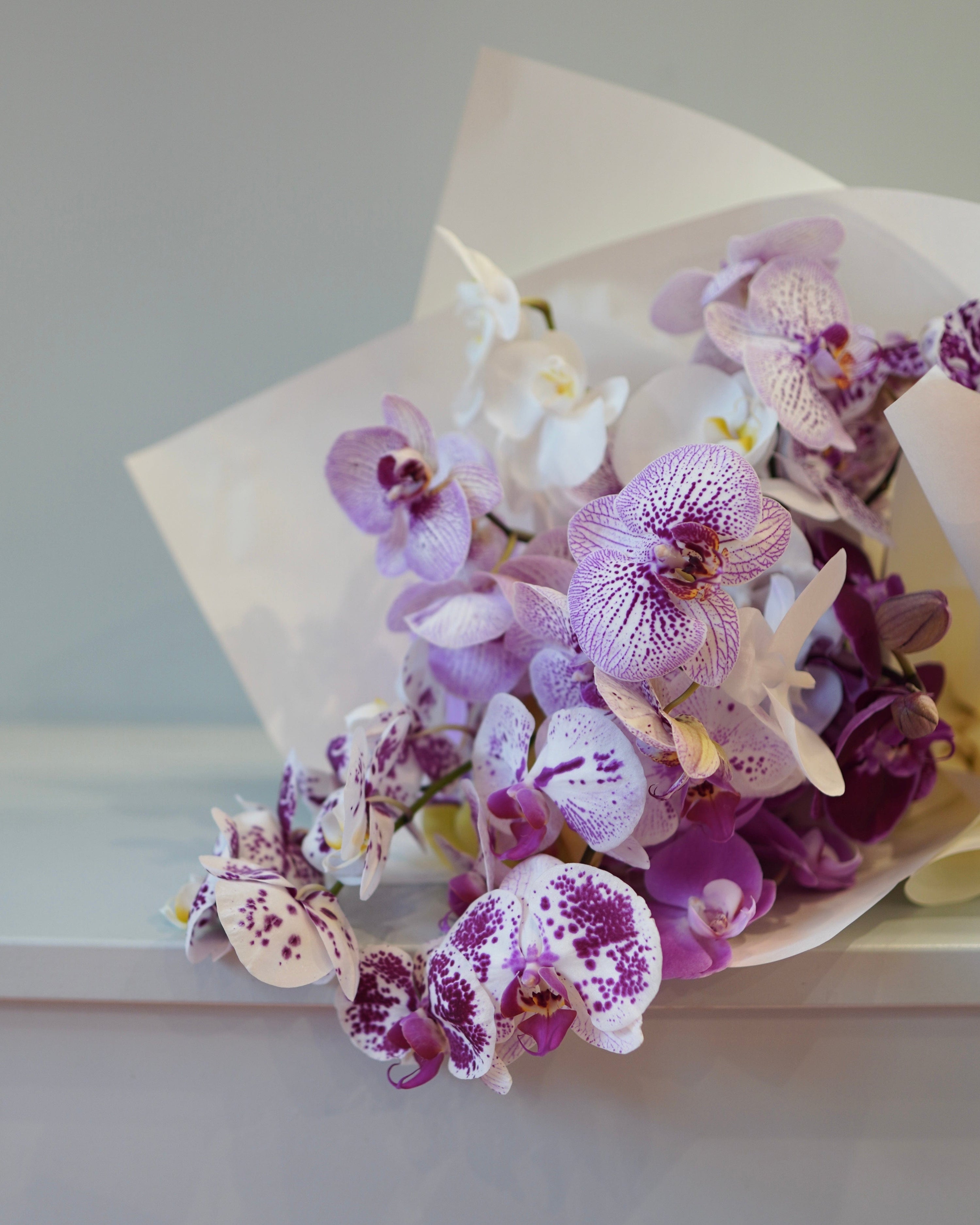 La Bomba Floristry Arrangements SINGLE SPECIES — Orchids La Bomba Floristry Vancouver Canada SINGLE SPECIES — Orchids