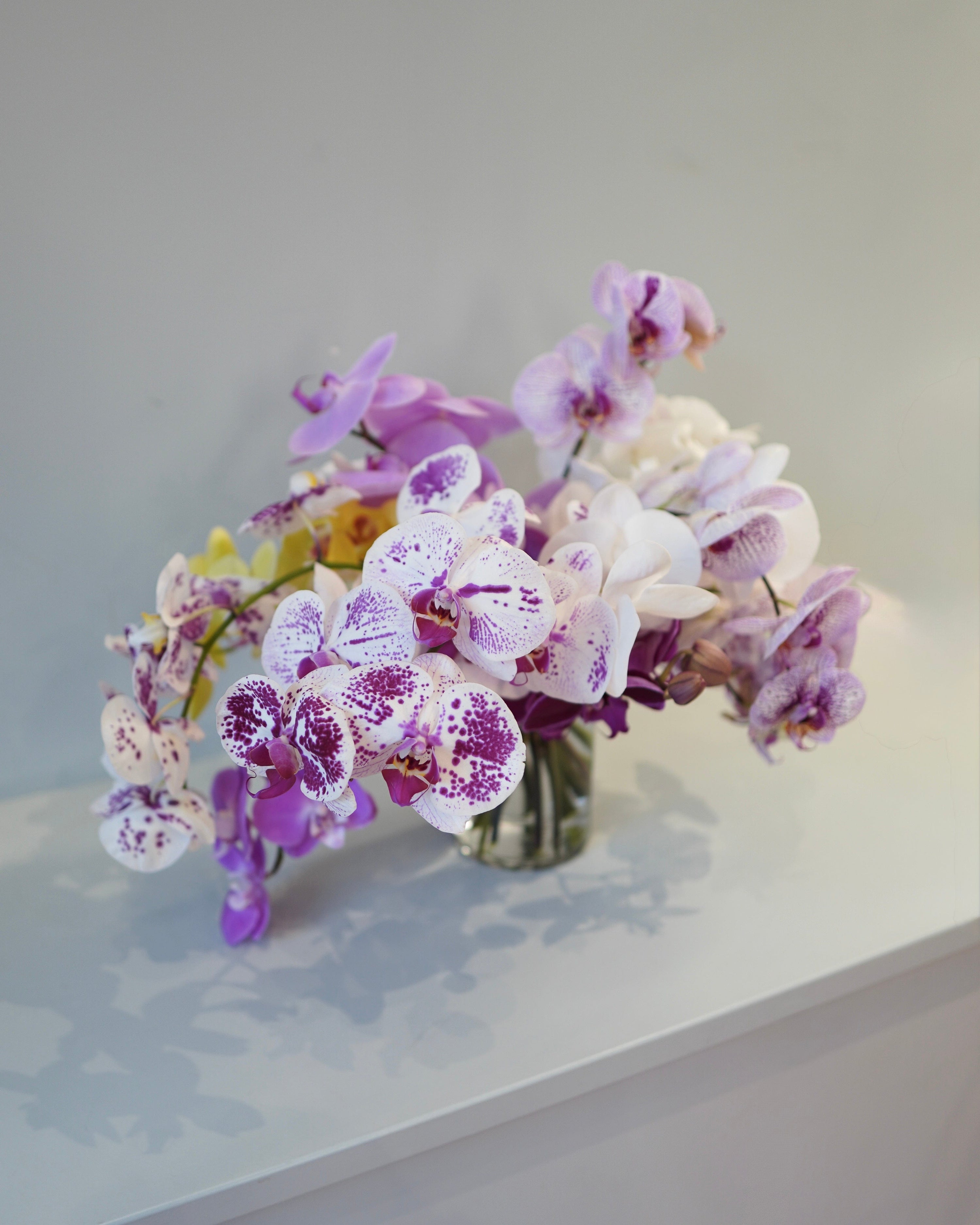 La Bomba Floristry Arrangements Vase / 9 Stems SINGLE SPECIES — Orchids La Bomba Floristry Vancouver Canada SINGLE SPECIES — Orchids