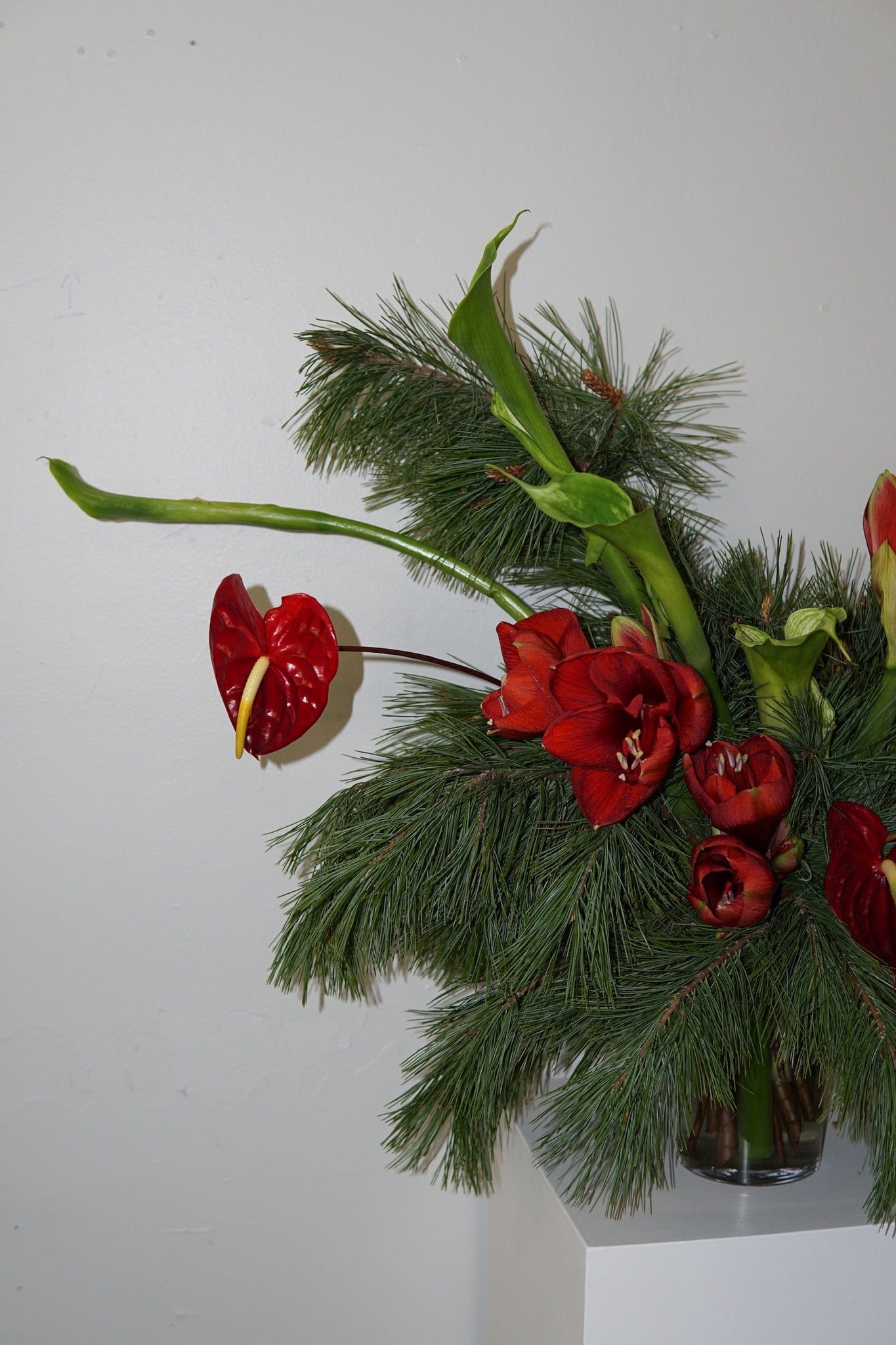 La Bomba Floristry Flowers Holiday Arrangement La Bomba Floristry Vancouver Canada Holiday Arrangement