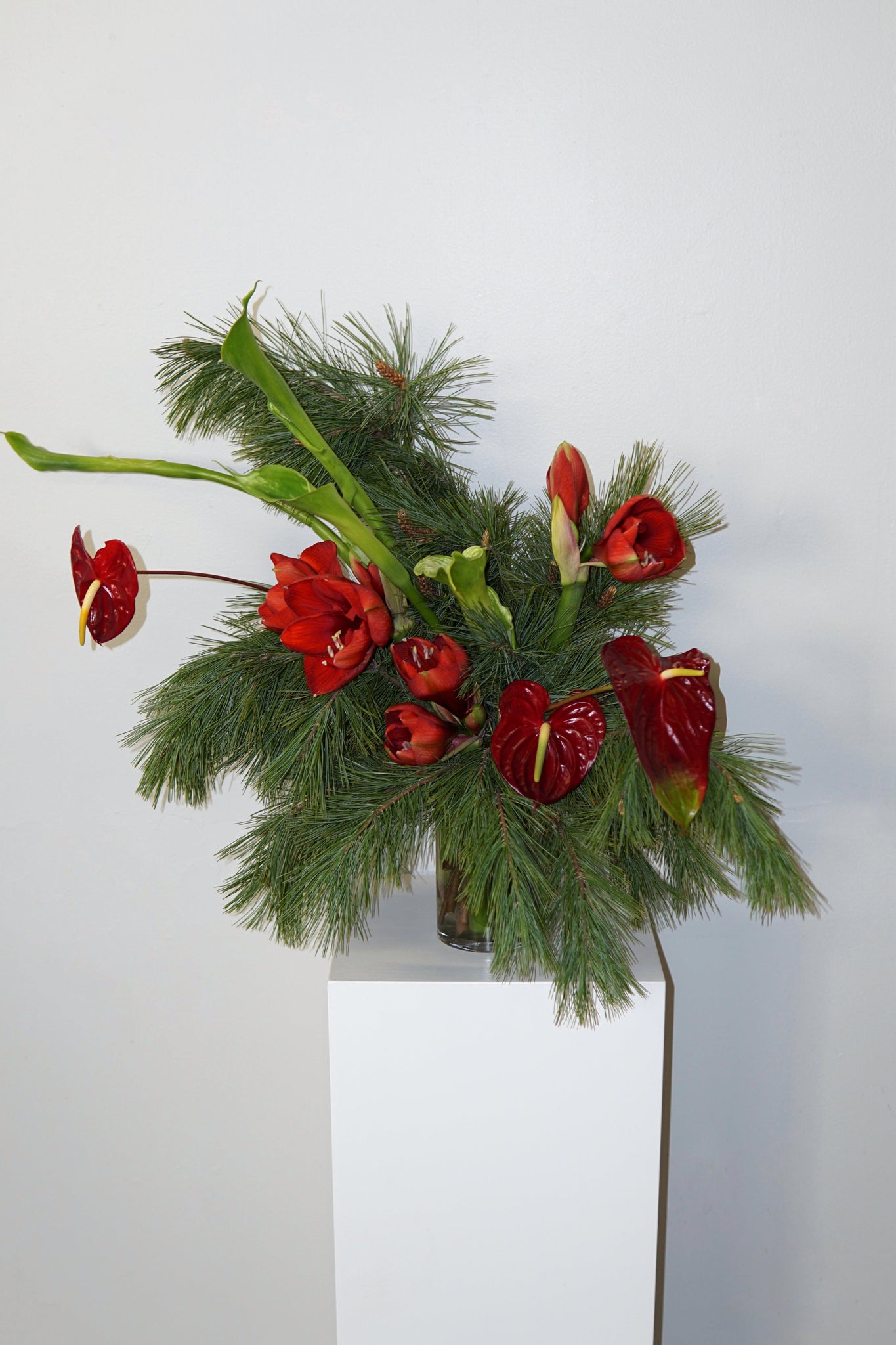 La Bomba Floristry Flowers Holiday Arrangement La Bomba Floristry Vancouver Canada Holiday Arrangement