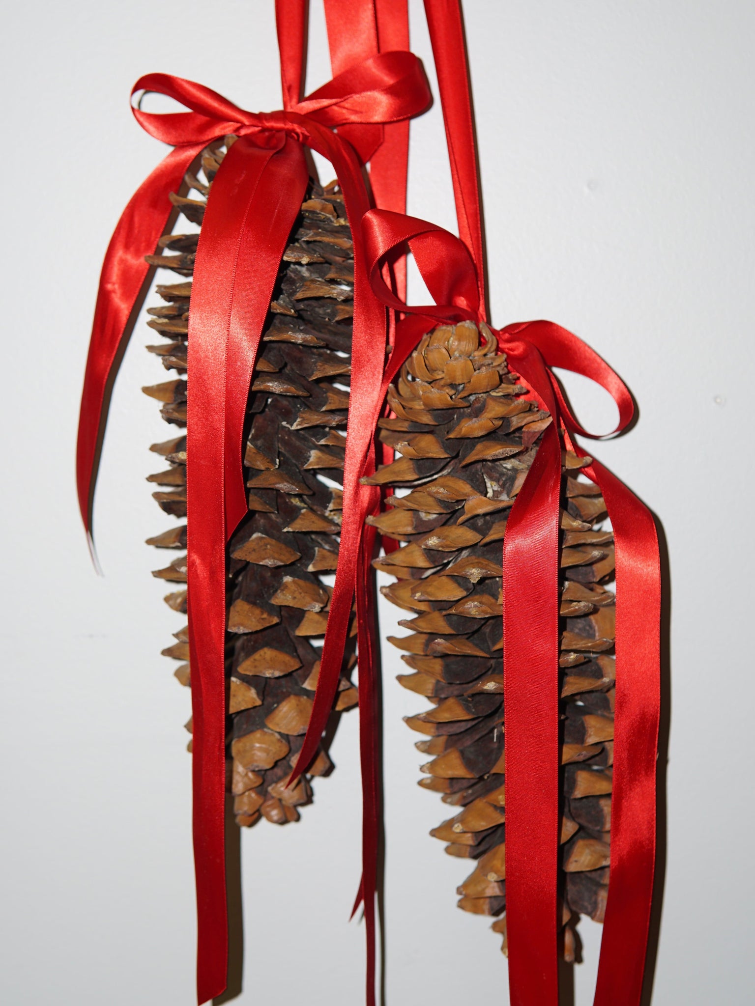 La Bomba Floristry La Bomba Floristry Hanging Pinecone Duo La Bomba Floristry Vancouver Canada Hanging Pinecone Duo